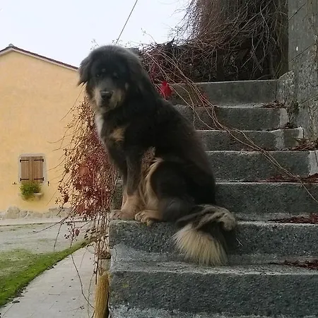 Holiday Medigi * Pićan
